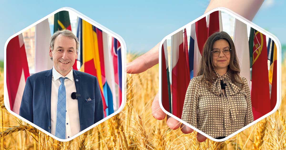 Kollage av tv책 personer och en f채lt av moget vete med flaggor